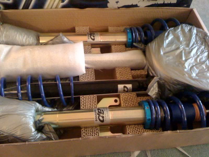 coilies2.jpg