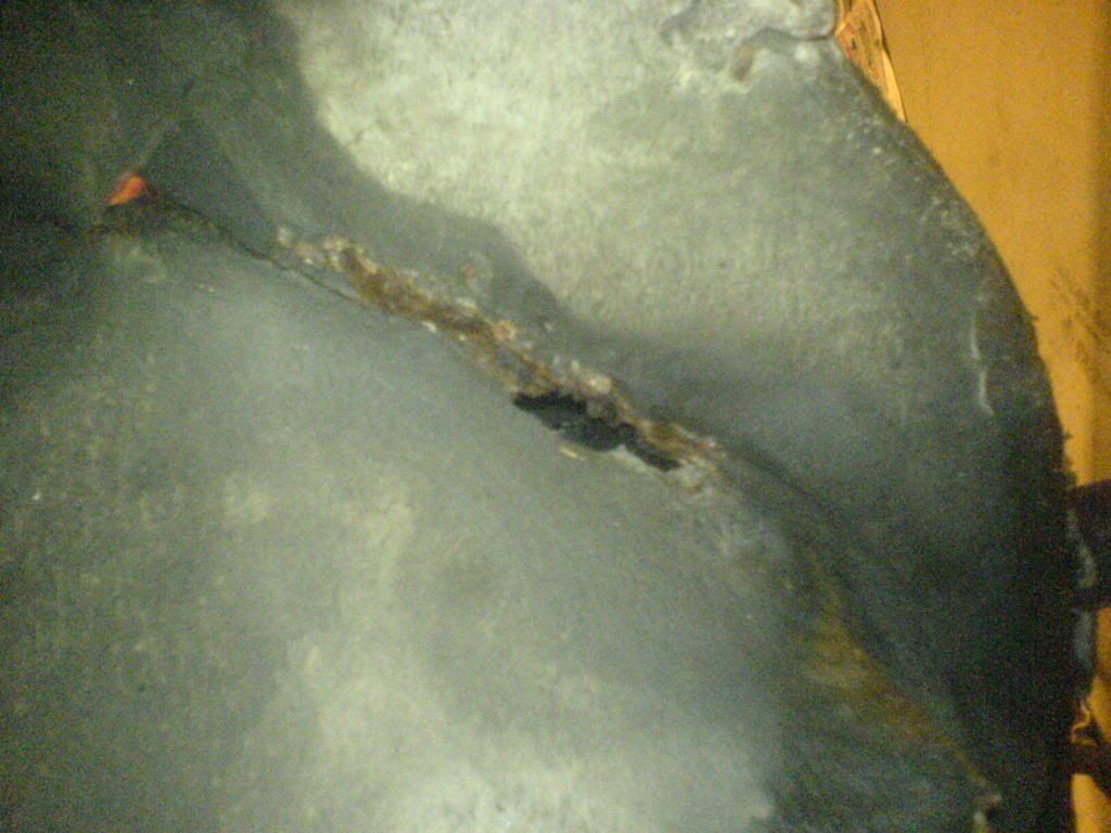 DSC02076.jpg