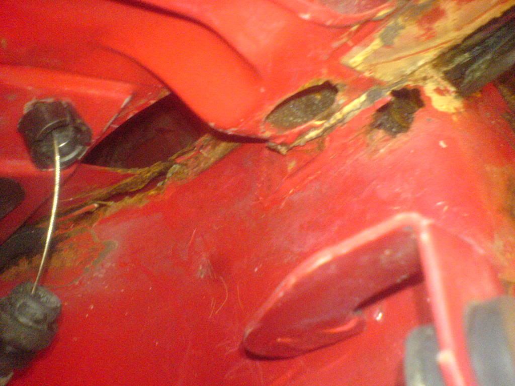 DSC02078.jpg