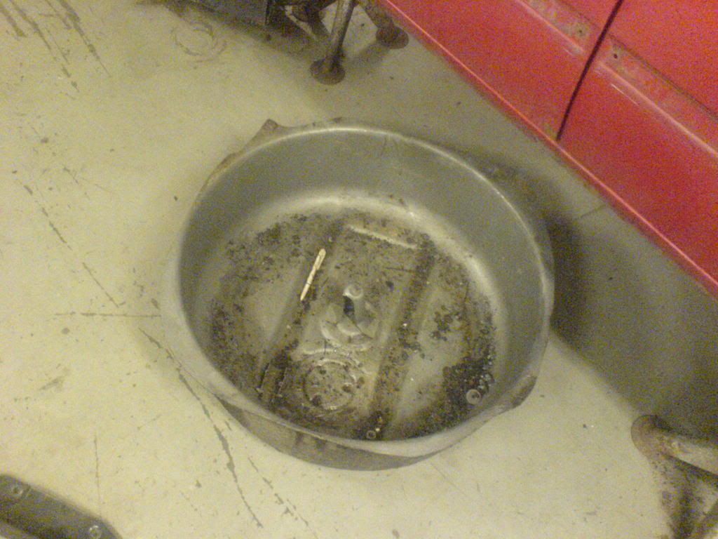 DSC02136.jpg