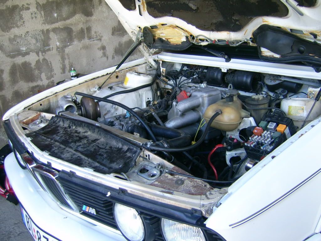 DSCI0051.jpg