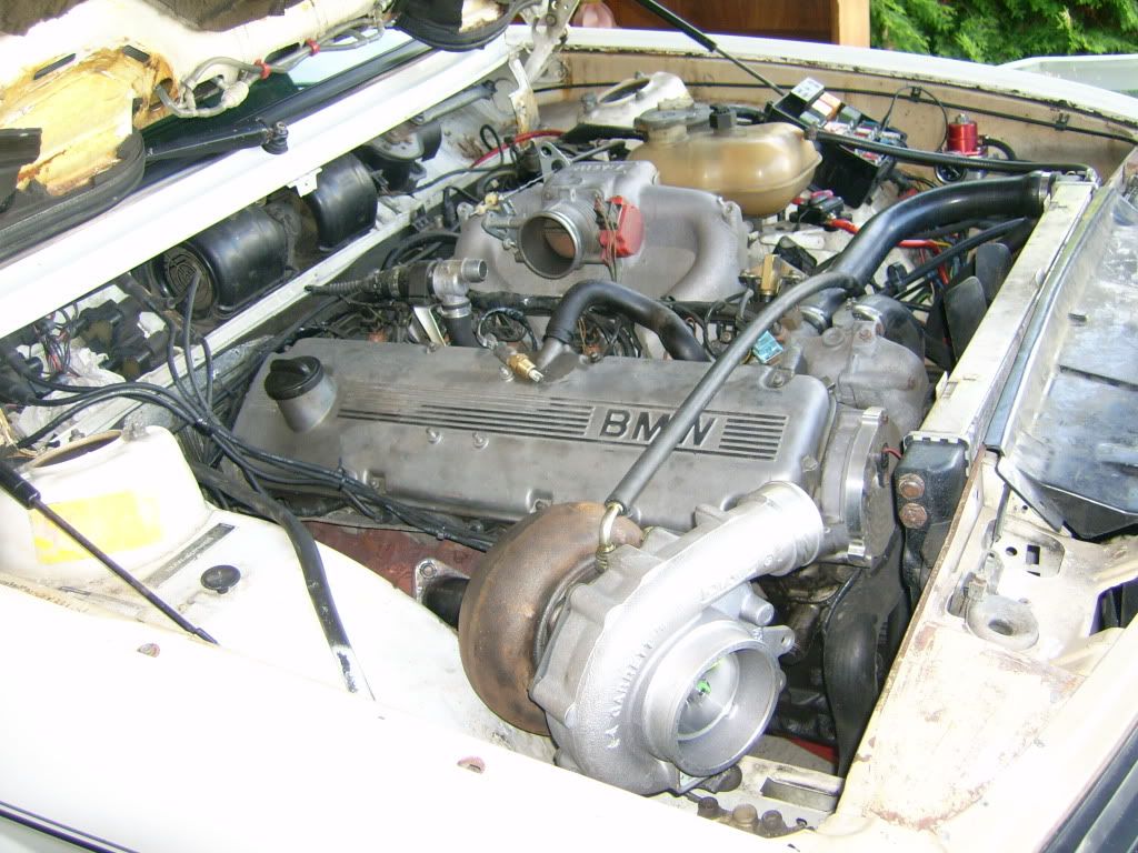 DSCI0052.jpg