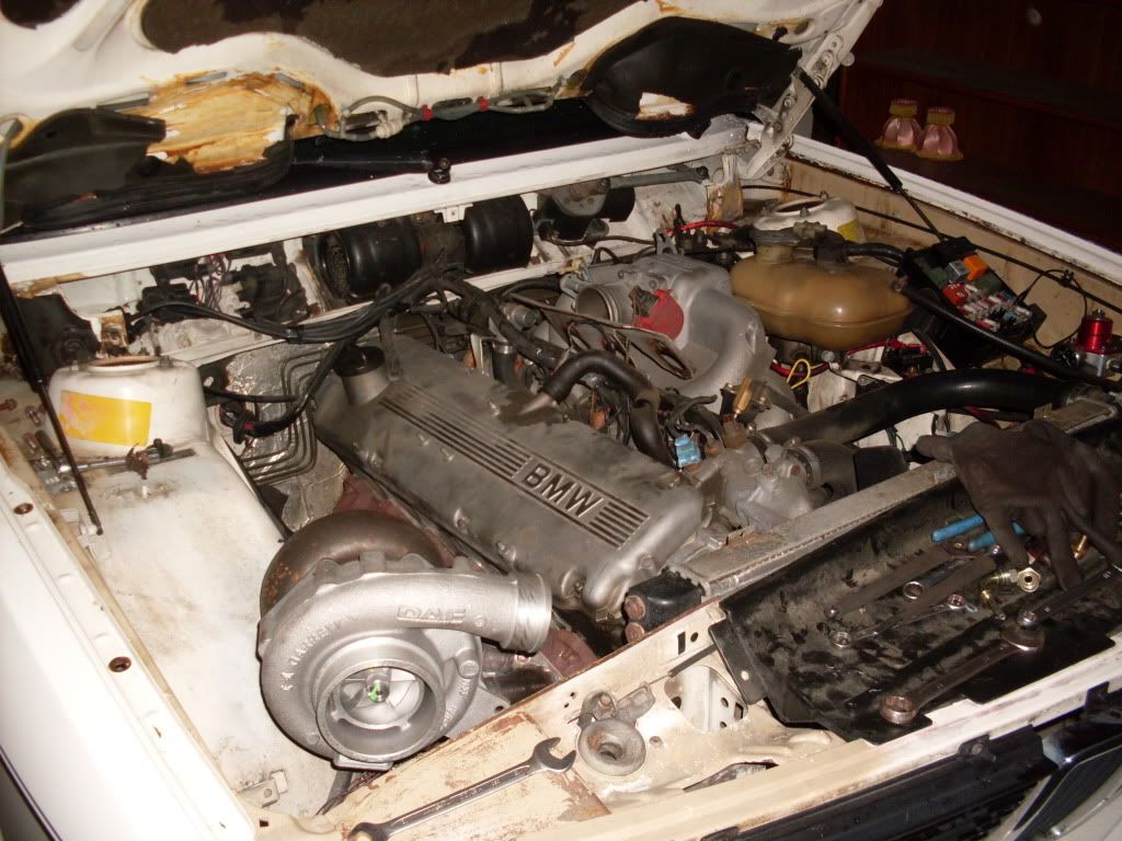 SDC11040.jpg