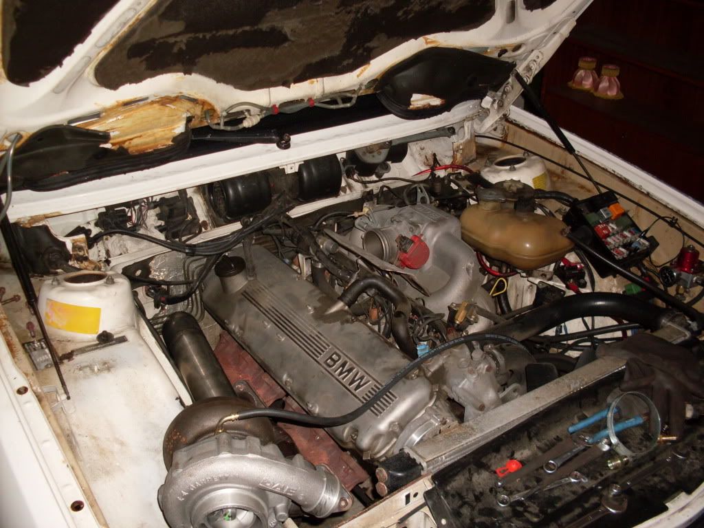 SDC11041.jpg