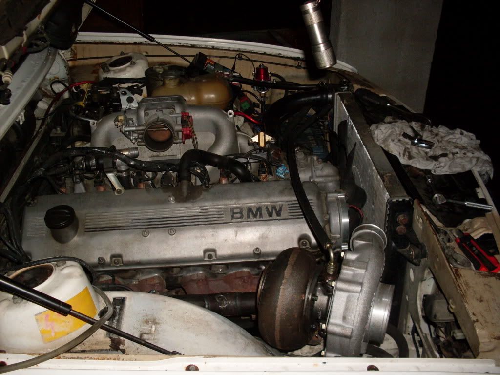 SDC11049.jpg