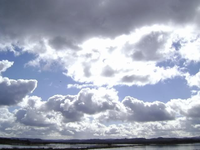 Oregonsky.jpg
