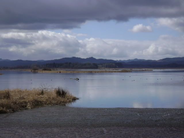 Pondhorizon.jpg