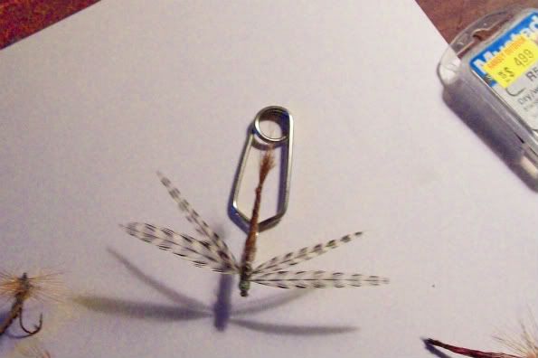 [Image: dragonfly.jpg]