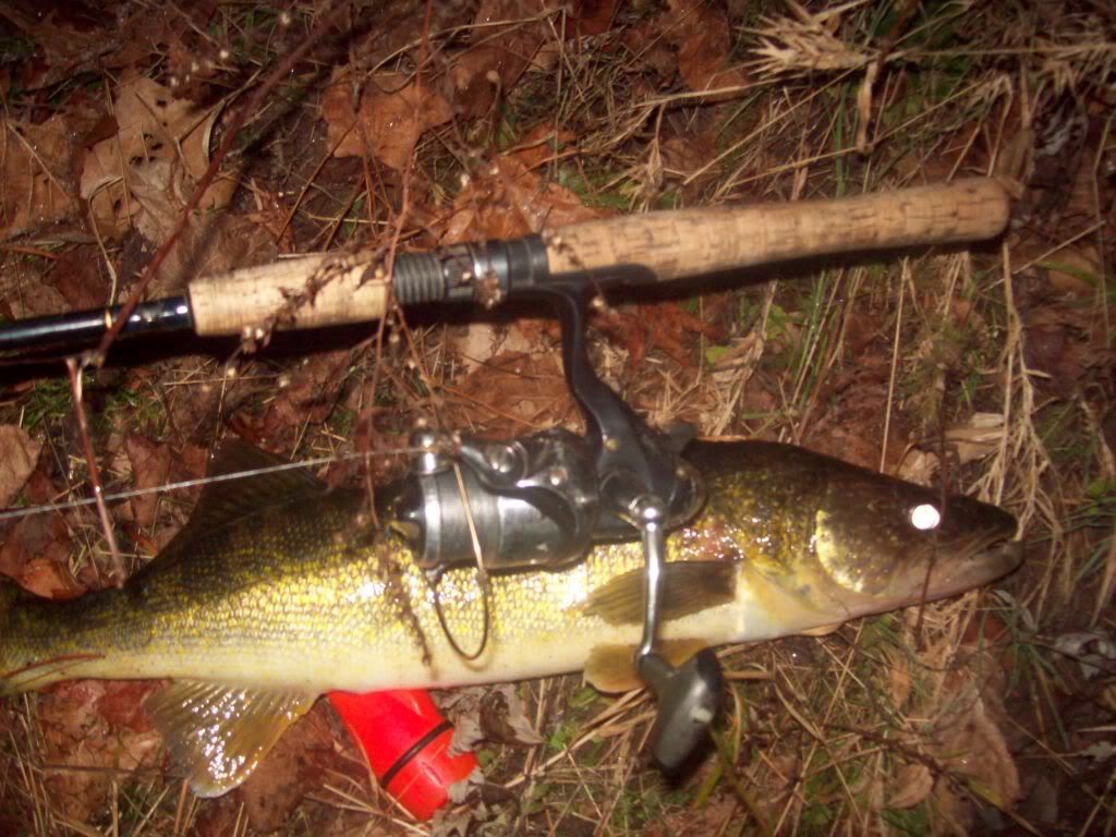 [Image: walleye006.jpg]