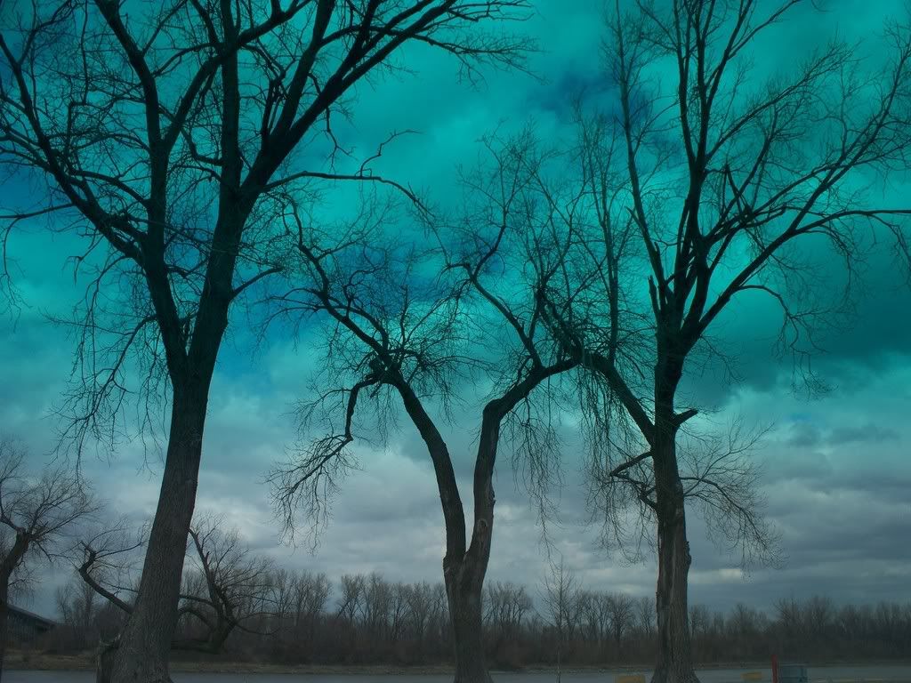 BlueTrees