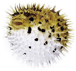 puffer