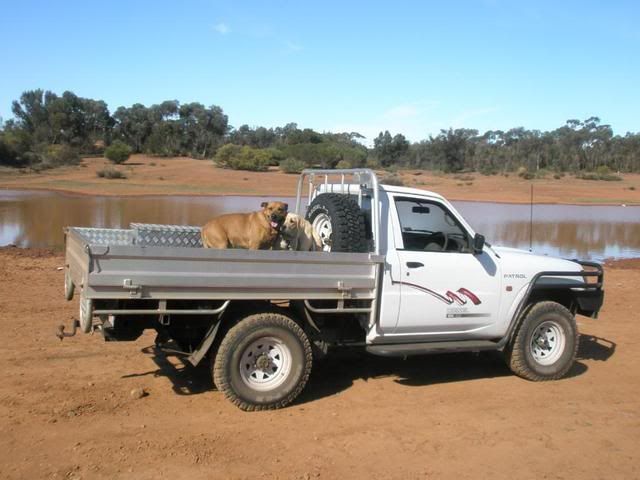 nissan patrol utes. patrol utes