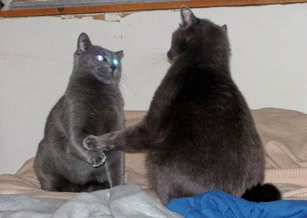 The Truce