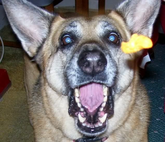 CHEETOS!