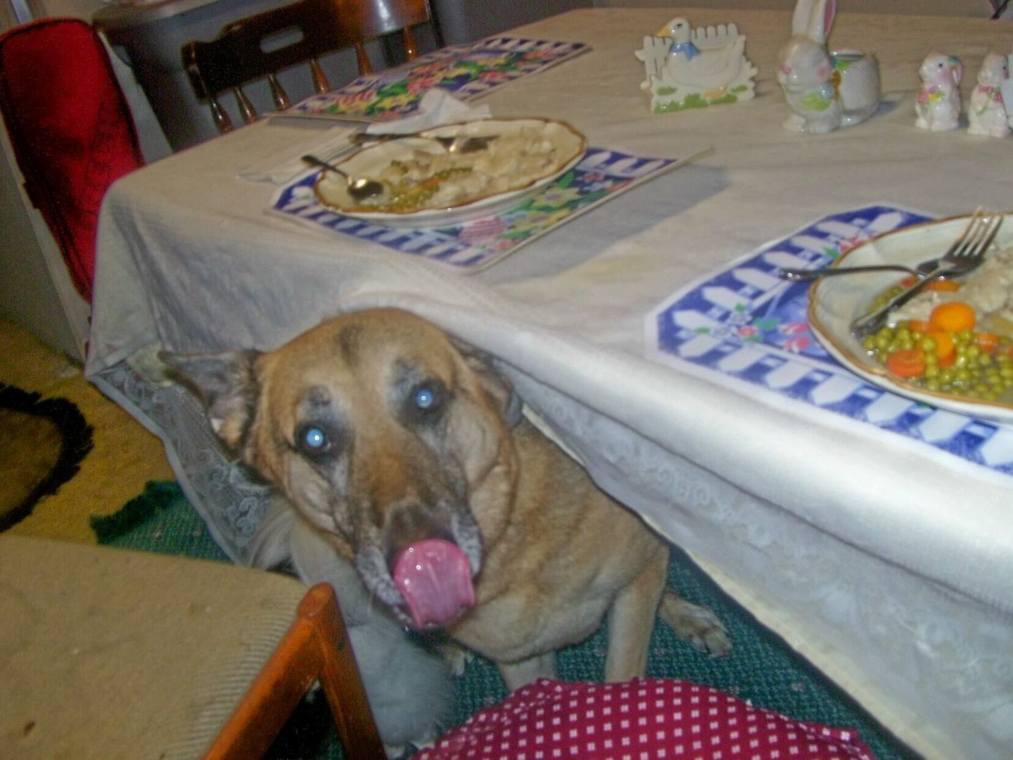 No one's looking...I think I'll have me an Easter lunch!