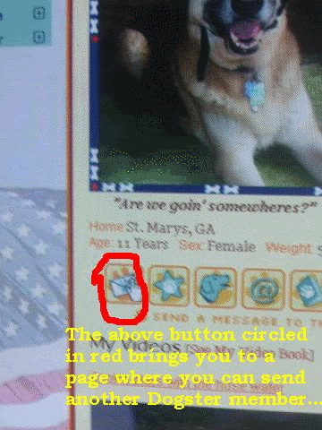 Howtomessageanothermember.gif How to message a Dogster member image by graydawntreader