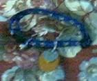 Tink's collar