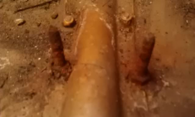 IMAG0289.jpg