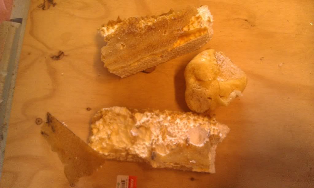 IMAG0484.jpg