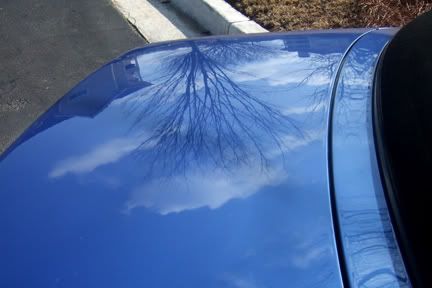 trunk_after.jpg