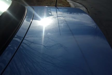 trunk_before.jpg