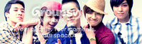 The Big Bang Fan Guild ♥ banner