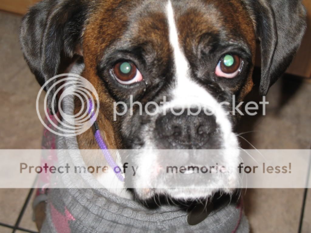 Picture008-1.jpg picture by lenloe