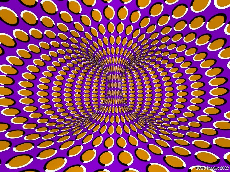 382851_396913170391381_1700093279_n.jpg