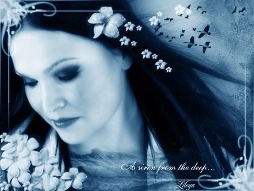 tarja