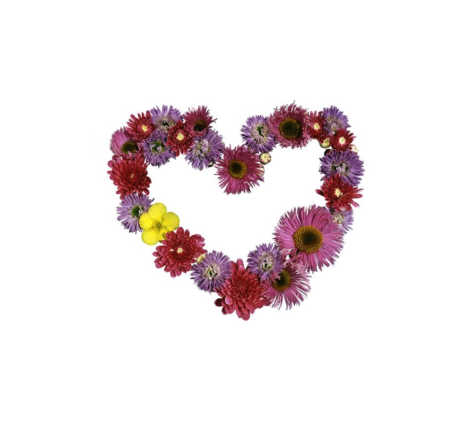 Heart_33562719.jpg