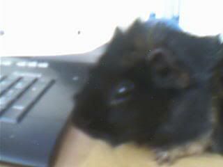 Picture071.jpg