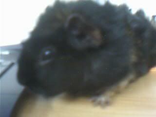 Picture077.jpg