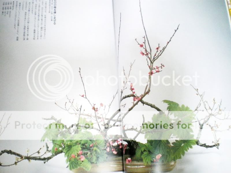  JAPANESE IKEBANA KADO UME SAKURA PLANTER VASE PHOTO 