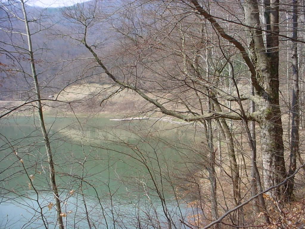 http://i254.photobucket.com/albums/hh85/j59j95/Mpek63-1.jpg