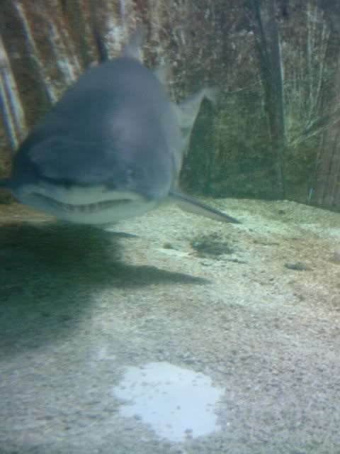 http://i254.photobucket.com/albums/hh85/j59j95/Photo0130.jpg