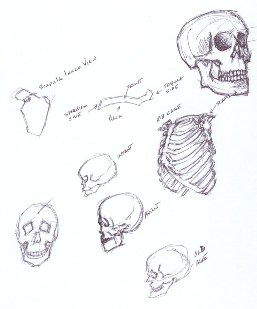 Victor Perard Anatomy And Drawing Ebook
