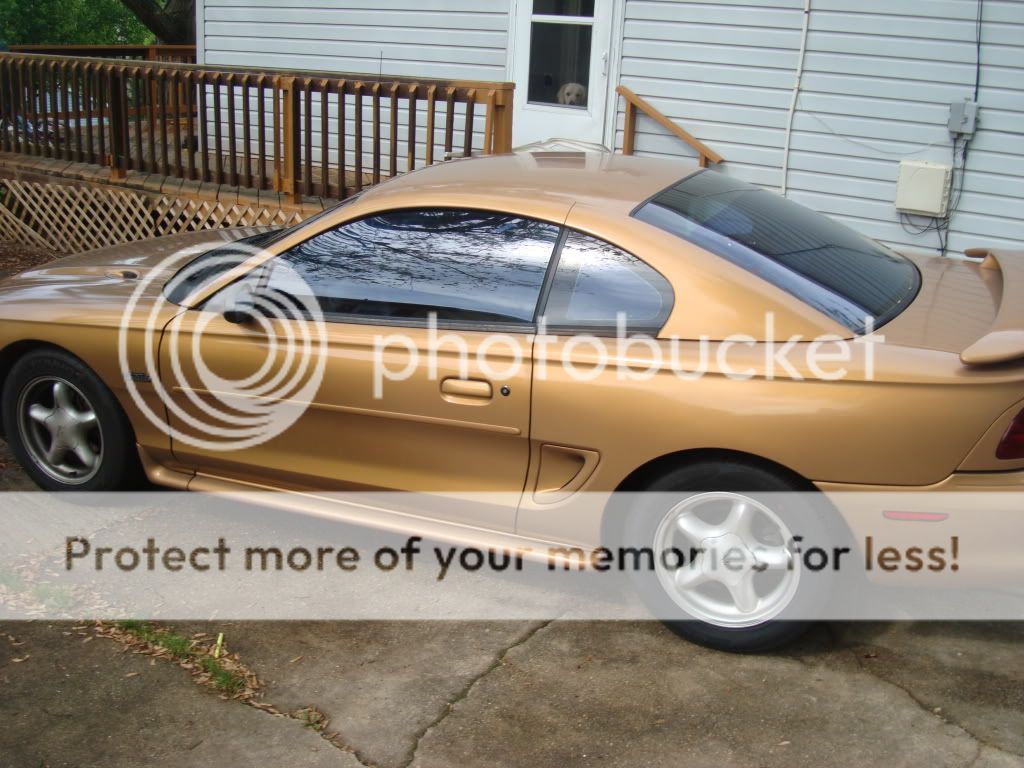 1997 Ford mustang aztec gold #3